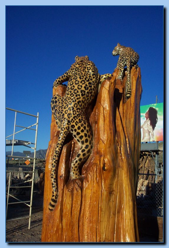 2-07 leopards-archive-0003